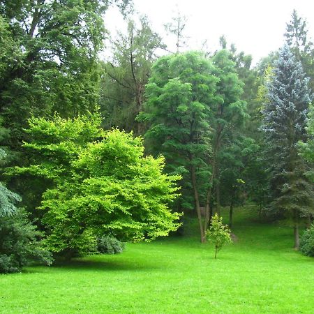 Delice Lviv Exterior foto